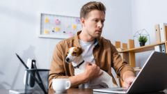 МЕТЕОВЕСТИ - прогноз погоды и новости о погоде от ФОБОС