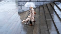 Дожди в Петербурге