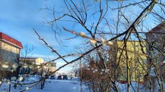 МЕТЕОВЕСТИ - прогноз погоды и новости о погоде от ФОБОС