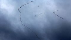 МЕТЕОВЕСТИ - прогноз погоды и новости о погоде от ФОБОС