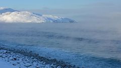 Баренцево моря