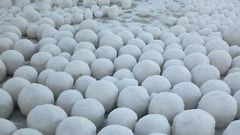 МЕТЕОВЕСТИ - прогноз погоды и новости о погоде от ФОБОС