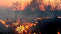 МЕТЕОВЕСТИ - прогноз погоды и новости о погоде от ФОБОС