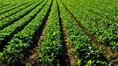 МЕТЕОВЕСТИ - прогноз погоды и новости о погоде от ФОБОС