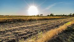 МЕТЕОВЕСТИ - прогноз погоды и новости о погоде от ФОБОС