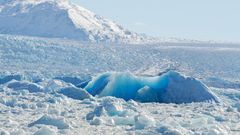 МЕТЕОВЕСТИ - прогноз погоды и новости о погоде от ФОБОС