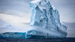 МЕТЕОВЕСТИ - прогноз погоды и новости о погоде от ФОБОС