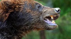 МЕТЕОВЕСТИ - прогноз погоды и новости о погоде от ФОБОС