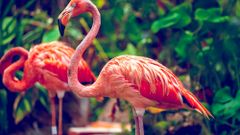 МЕТЕОВЕСТИ - прогноз погоды и новости о погоде от ФОБОС