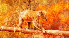 МЕТЕОВЕСТИ - прогноз погоды и новости о погоде от ФОБОС