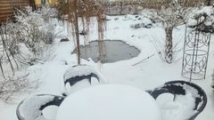 Возвращение зимы