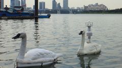 МЕТЕОВЕСТИ - прогноз погоды и новости о погоде от ФОБОС