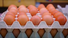МЕТЕОВЕСТИ - прогноз погоды и новости о погоде от ФОБОС