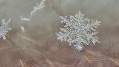 МЕТЕОВЕСТИ - прогноз погоды и новости о погоде от ФОБОС