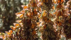 МЕТЕОВЕСТИ - прогноз погоды и новости о погоде от ФОБОС