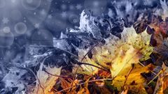 МЕТЕОВЕСТИ - прогноз погоды и новости о погоде от ФОБОС