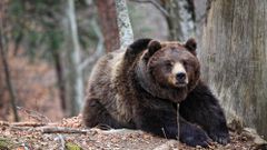 МЕТЕОВЕСТИ - прогноз погоды и новости о погоде от ФОБОС