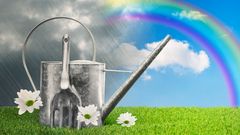 МЕТЕОВЕСТИ - прогноз погоды и новости о погоде от ФОБОС