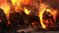 МЕТЕОВЕСТИ - прогноз погоды и новости о погоде от ФОБОС
