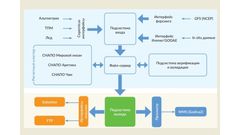 МЕТЕОВЕСТИ - прогноз погоды и новости о погоде от ФОБОС