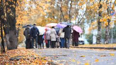 МЕТЕОВЕСТИ - прогноз погоды и новости о погоде от ФОБОС