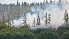 МЕТЕОВЕСТИ - прогноз погоды и новости о погоде от ФОБОС