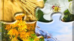 МЕТЕОВЕСТИ - прогноз погоды и новости о погоде от ФОБОС