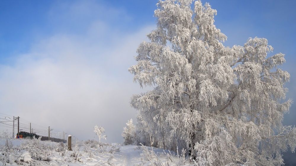 эпова сибирские морозы