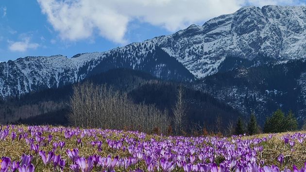 Весна в горах