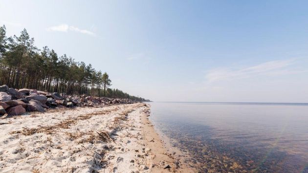 Отлив на Балтике