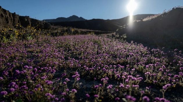 Долина смерти - 2