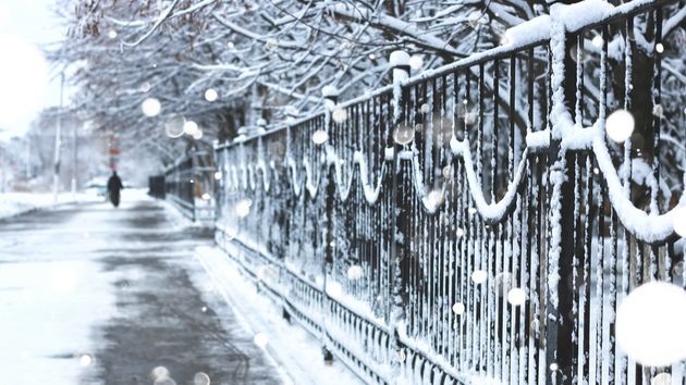 Тема выходные 