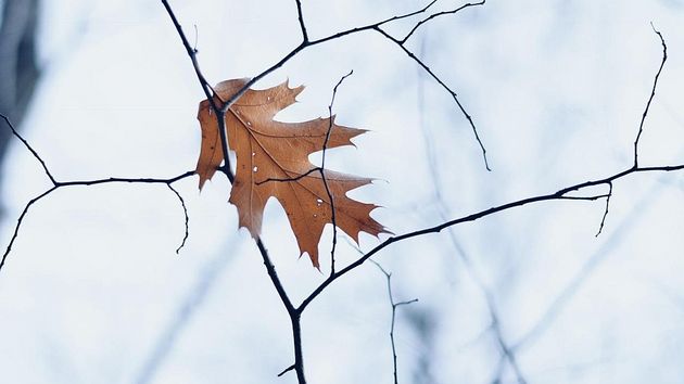 Поздняя осень