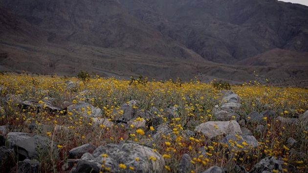 Долина смерти - 3