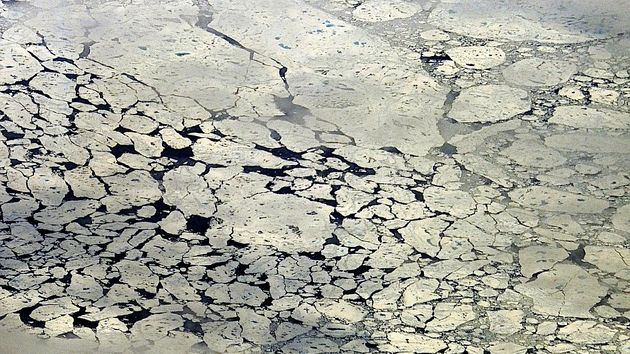 Ледяные поля Антарктиды