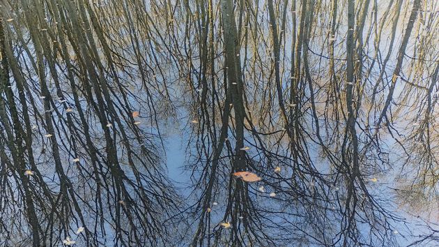 Ноябрь в Ставрополе