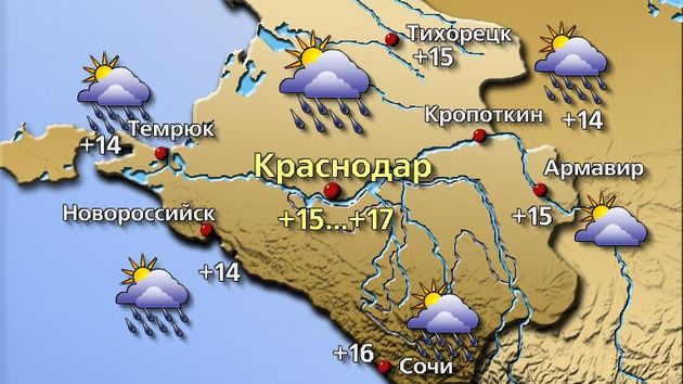 Краснодар 14.02.26