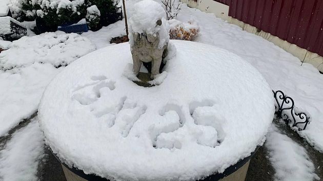 Первый снег