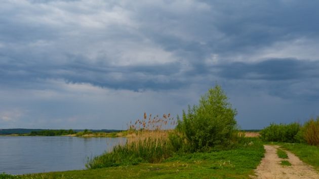 Неделя