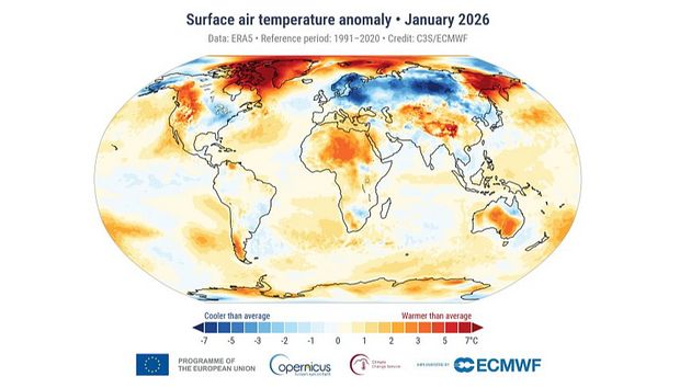 Температурные аномалии января
