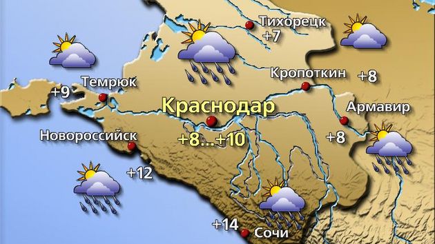 Краснодар 22.02.26